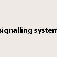 signalling system是什么意思