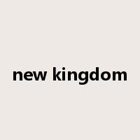 new kingdom是什么意思