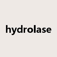 hydrolase是什么意思