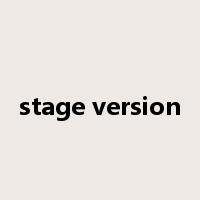 stage version是什么意思