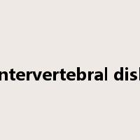 intervertebral disk是什么意思