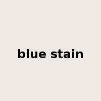 blue stain是什么意思