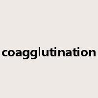 coagglutination是什么意思