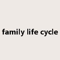 family life cycle是什么意思