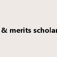 entry & merits scholarships是什么意思