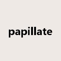 papillate是什么意思
