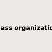 mass organization是什么意思