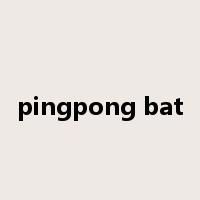 pingpong bat是什么意思