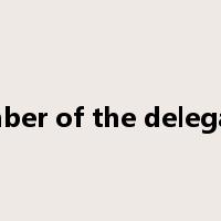 member of the delegation是什么意思