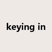 keying in是什么意思