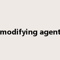 modifying agent是什么意思