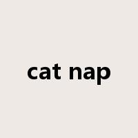 cat nap是什么意思