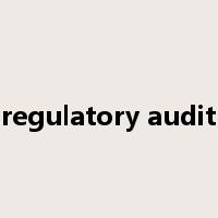 regulatory audit是什么意思