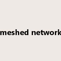 meshed network是什么意思