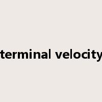 terminal velocity是什么意思