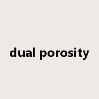 dual porosity是什么意思