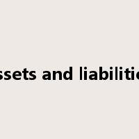 assets and liabilities是什么意思