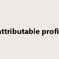 attributable profit是什么意思