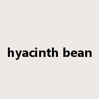 hyacinth bean是什么意思