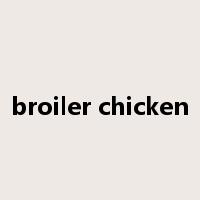 broiler chicken是什么意思