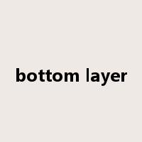 bottom layer是什么意思
