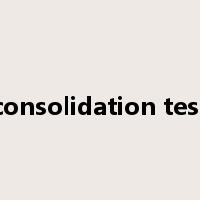 consolidation test是什么意思