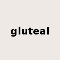 gluteal是什么意思