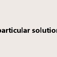 particular solution是什么意思