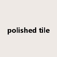 polished tile是什么意思
