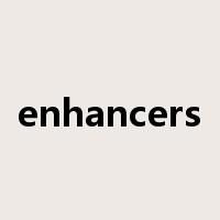 enhancers是什么意思