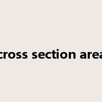cross section area是什么意思