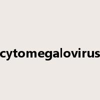 cytomegalovirus是什么意思