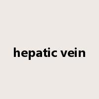 hepatic vein是什么意思