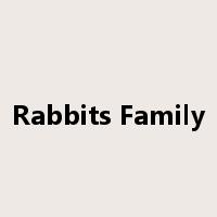 Rabbits Family是什么意思