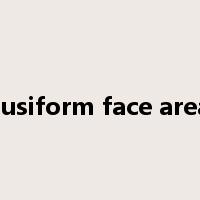 fusiform face area是什么意思