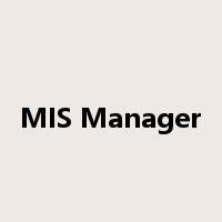 MIS Manager是什么意思