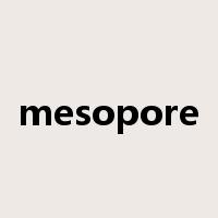 mesopore是什么意思