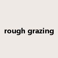 rough grazing是什么意思