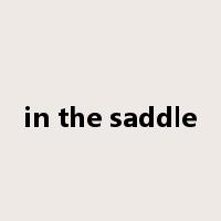 in the saddle是什么意思