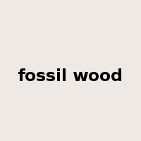 fossil wood是什么意思