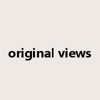original views是什么意思