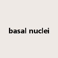 basal nuclei是什么意思