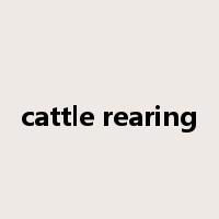 cattle rearing是什么意思