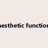 aesthetic function是什么意思
