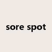 sore spot是什么意思