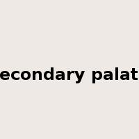 secondary palate是什么意思