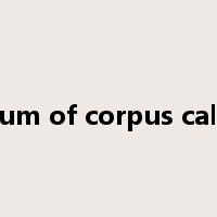 splenium of corpus callosum是什么意思