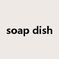 soap dish是什么意思