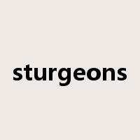 sturgeons是什么意思