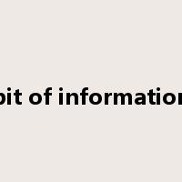 bit of information是什么意思
